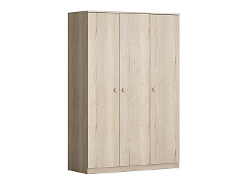 Шкаф для одежды ДЕЛЬТА Лофт 13.03 IRish